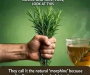 Rosemary Leaves in Hot Water
